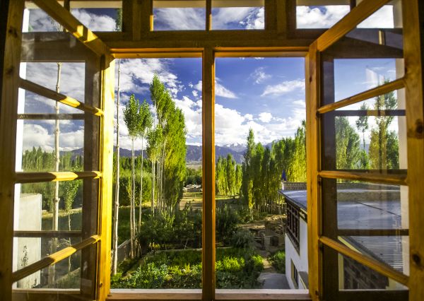 Wood Window Replacement in Prosper